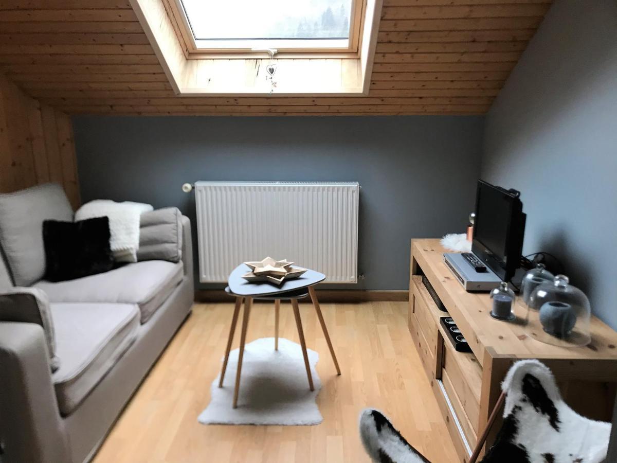 Charmant Appartement 2-4 Personnes Entre Annecy Et Aravis Thones Exterior photo